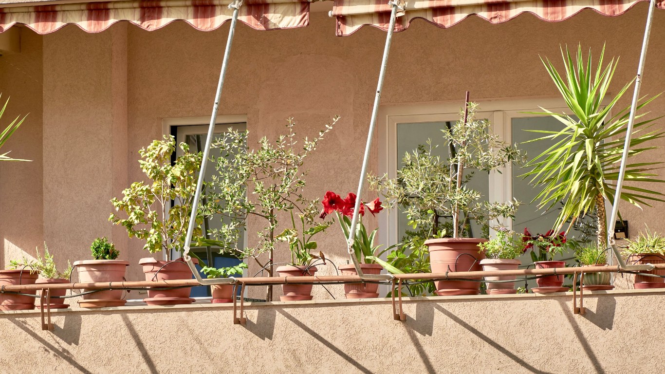 uzman seviye balkon bahçeciliği zorlukları