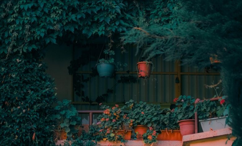Balkon Bahçesi Kurma