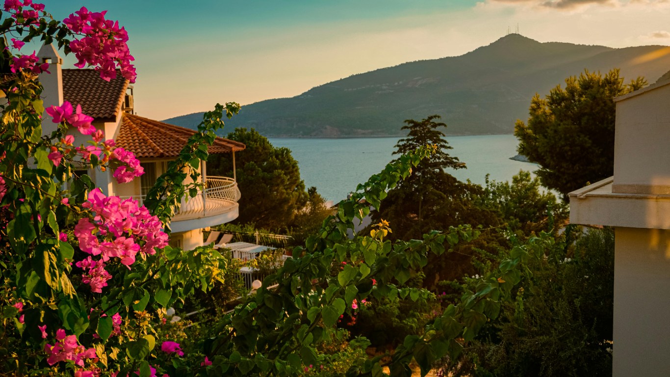 balkon sukulentleri nelerdir