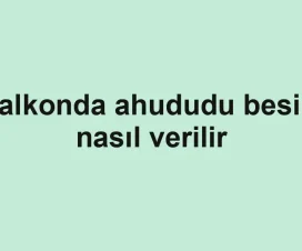 Balkonda ahududu besini nasıl verilir
