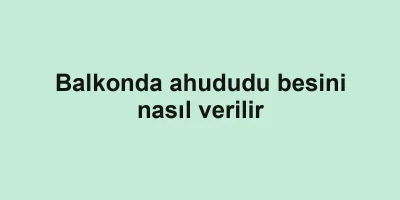 Balkonda ahududu besini nasıl verilir