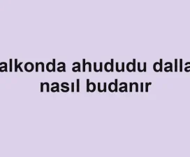 Balkonda ahududu dalları nasıl budanır