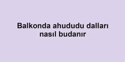 Balkonda ahududu dalları nasıl budanır