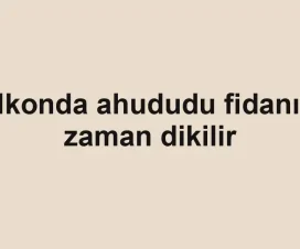Balkonda ahududu fidanı ne zaman dikilir