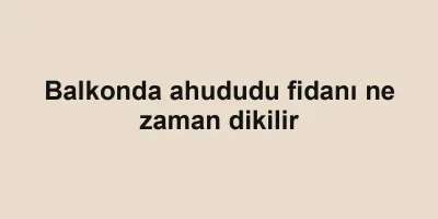 Balkonda ahududu fidanı ne zaman dikilir