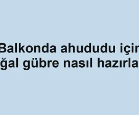 Balkonda ahududu için doğal gübre nasıl hazırlanır