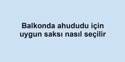 Balkonda ahududu için uygun saksı nasıl seçilir