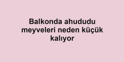 Balkonda ahududu meyveleri neden küçük kalıyor