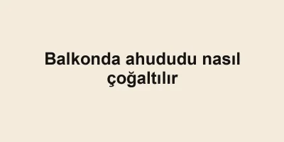 Balkonda ahududu nasıl çoğaltılır
