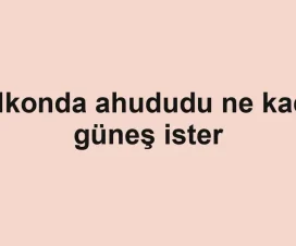 Balkonda ahududu ne kadar güneş ister