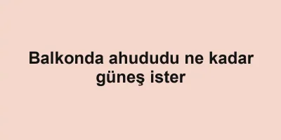 Balkonda ahududu ne kadar güneş ister
