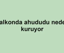 Balkonda ahududu neden kuruyor