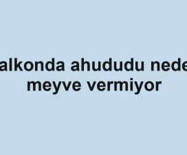 Balkonda ahududu neden meyve vermiyor