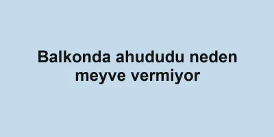 Balkonda ahududu neden meyve vermiyor