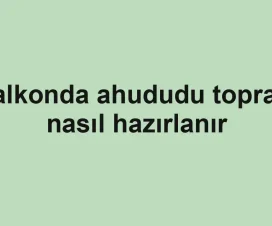Balkonda ahududu toprağı nasıl hazırlanır