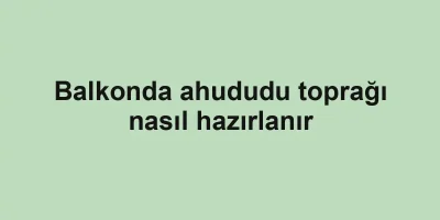Balkonda ahududu toprağı nasıl hazırlanır