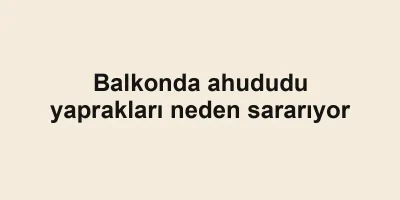 Balkonda ahududu yaprakları neden sararıyor