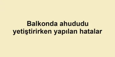 Balkonda ahududu yetiştirirken yapılan hatalar
