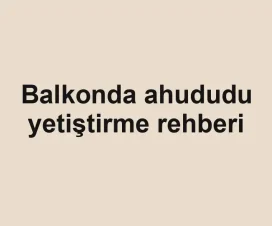 Balkonda ahududu yetiştirme rehberi