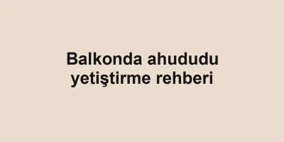 Balkonda ahududu yetiştirme rehberi