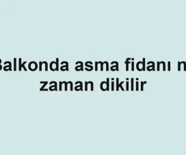 Balkonda asma fidanı ne zaman dikilir