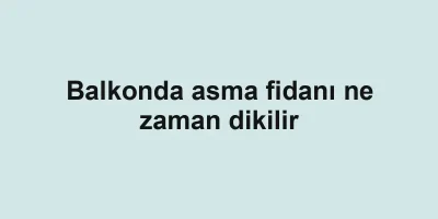 Balkonda asma fidanı ne zaman dikilir