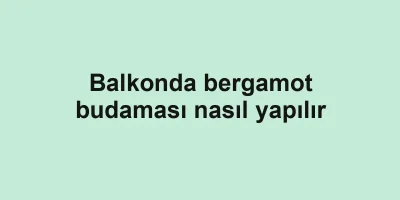 Balkonda bergamot budaması nasıl yapılır