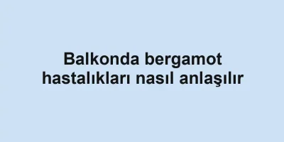 Balkonda bergamot hastalıkları nasıl anlaşılır