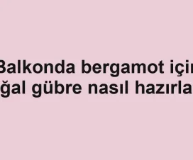 Balkonda bergamot için doğal gübre nasıl hazırlanır