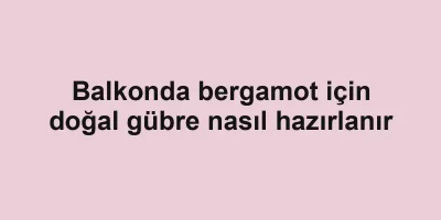 Balkonda bergamot için doğal gübre nasıl hazırlanır