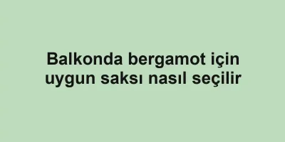 Balkonda bergamot için uygun saksı nasıl seçilir
