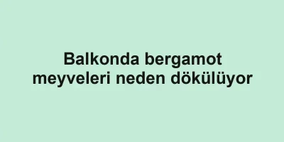 Balkonda bergamot meyveleri neden dökülüyor