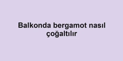 Balkonda bergamot nasıl çoğaltılır