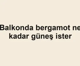 Balkonda bergamot ne kadar güneş ister