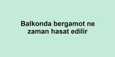 Balkonda bergamot ne zaman hasat edilir