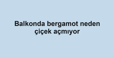 Balkonda bergamot neden çiçek açmıyor