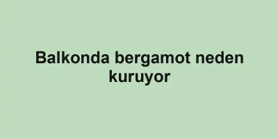 Balkonda bergamot neden kuruyor