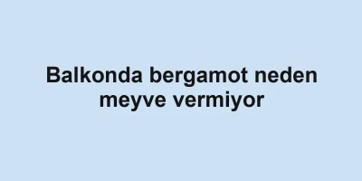 Balkonda bergamot neden meyve vermiyor