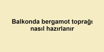 Balkonda bergamot toprağı nasıl hazırlanır