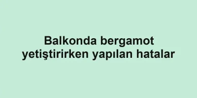 Balkonda bergamot yetiştirirken yapılan hatalar