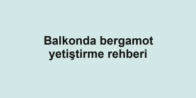 Balkonda bergamot yetiştirme rehberi