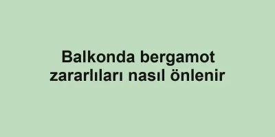 Balkonda bergamot zararlıları nasıl önlenir