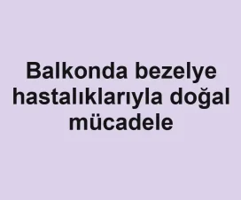 Balkonda bezelye hastalıklarıyla doğal mücadele