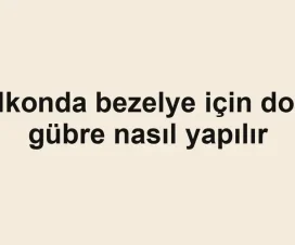Balkonda bezelye için doğal gübre nasıl yapılır