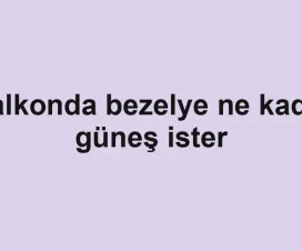 Balkonda bezelye ne kadar güneş ister