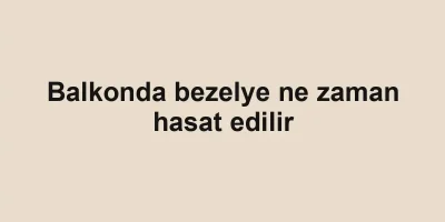 Balkonda bezelye ne zaman hasat edilir