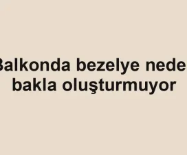 Balkonda bezelye neden bakla oluşturmuyor