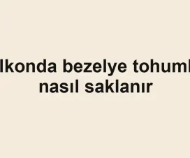 Balkonda bezelye tohumları nasıl saklanır