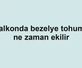 Balkonda bezelye tohumu ne zaman ekilir