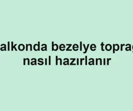 Balkonda bezelye toprağı nasıl hazırlanır